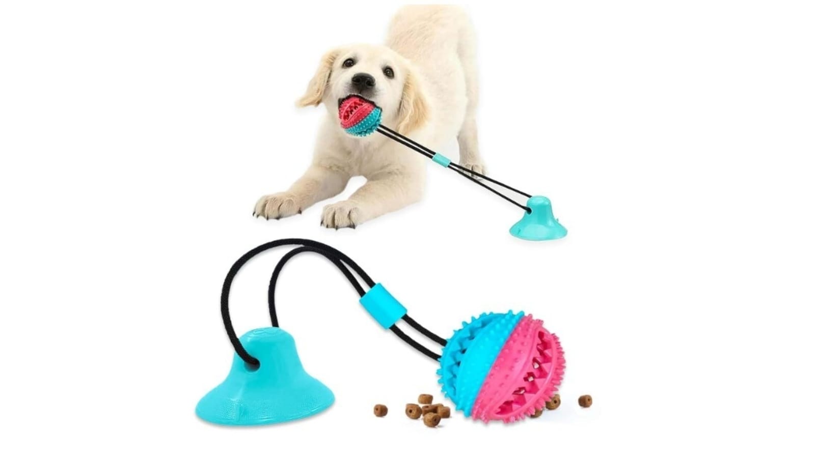 Best Dog Toys: Top 9 Engaging and Safe Options, Perfect for Play and Training for Every Dog Breed