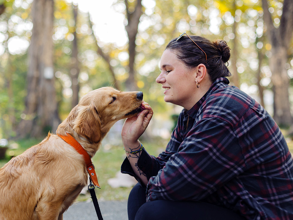 Petting and praising dogs helps them learn, according to new study · The Wildest